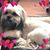 Beth Chapin's profile image