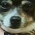 Kevin Ibarra's profile image