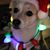 Ashley Cloninger Sullins's profile image