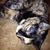 Cathy Elliott's profile image