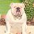 John Gafford's profile image