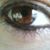 Maggie Jones's profile image