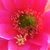 Deanie Wood's profile image