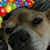 John Gray's profile image