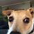 Richard Danese's profile image