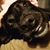 Claire Presnall's profile image