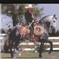 Juan Martinez's profile image