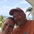Jake Biehl's profile image
