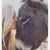 Deanne Thomsen's profile image