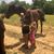 Jennifer Anne Phillips's profile image