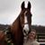 Bernadette Bargnesi's profile image