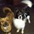 Rebecca Schoessow's profile image