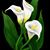Jennifer Roderiques's profile image