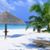 Judy Blakeslee's profile image