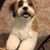 Kathleen Olson's profile image