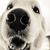 Janell E Lopez-Curtis's profile image