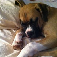 Gloria Reed Township Reedville's profile image