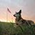Fran Knight Scheel's profile image