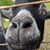 Tiffany Padgett's profile image