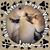Leanna Yingling's profile image