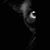 Marc Berger's profile image