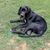 Ron Sabol's profile image