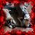 Deana Bracey's profile image