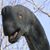 Theresa Atkins's profile image