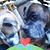 Lorriane Smith's profile image