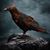 Luna Lucifera's profile image