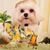 Denise Geroir-Valente's profile image