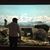Shane Husk's profile image