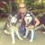 Sue Jones's profile image
