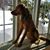 Cheryl MacDade's profile image
