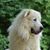 William Molitor's profile image