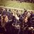 Chelsey Darnell Green's profile image