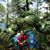 Ocong Agar's profile image