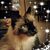Cindy Ezell's profile image