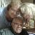 Joyce Joneschiet's profile image
