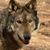 Scott Dellinger's profile image