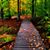 Tina E. Stevens's profile image