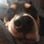 Kevin Mccloud's profile image