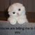 Tom Hogland's profile image