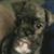 Mary Schnapp's profile image
