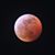 Jill Luttinen's profile image