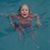 Debbie Gray's profile image