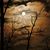 Rita Maass's profile image