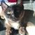 Nancy Strasner Stephenson's profile image