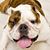 Jacqueline Bernard's profile image