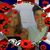 Linda Norris's profile image